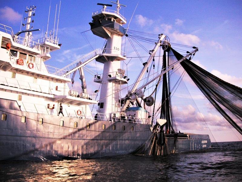 Fishing Rope Supplier