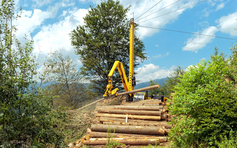 Usha Martin Wire Ropes for Forestry